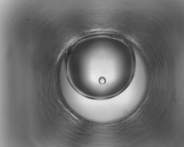 X0000052541357200507152122