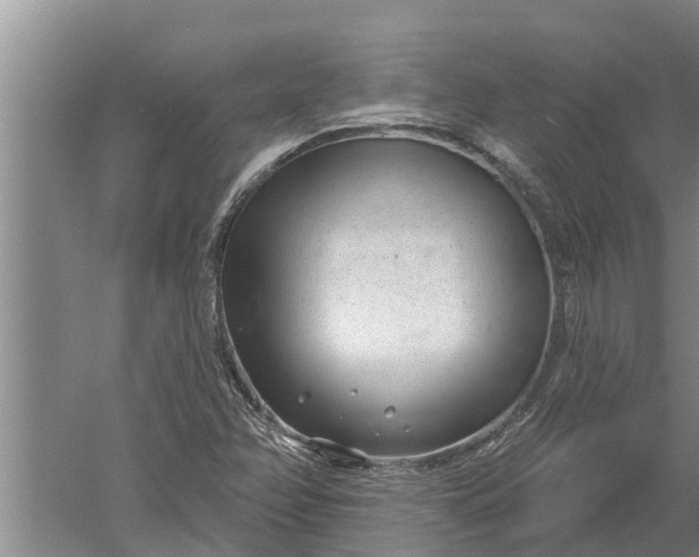 X0000052541358200507152122