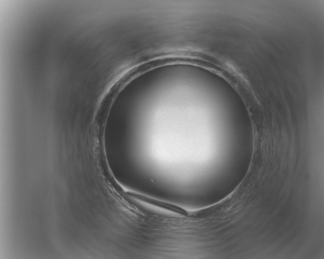 X0000052541360200507152122