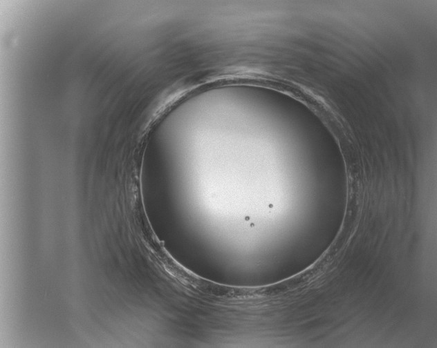 X0000052541363200507152122