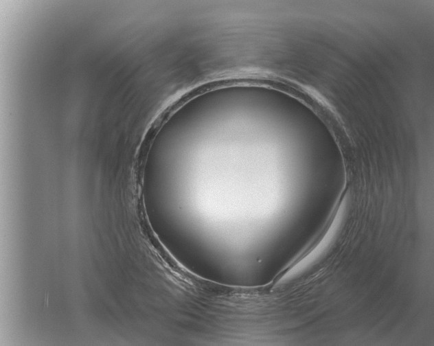 X0000052541364200507152122