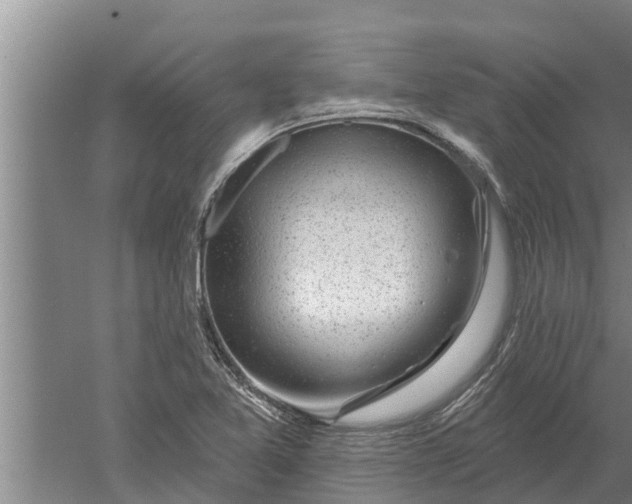 X0000052541365200507152122