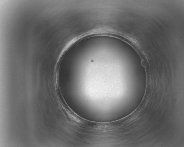 X0000052541366200507152122