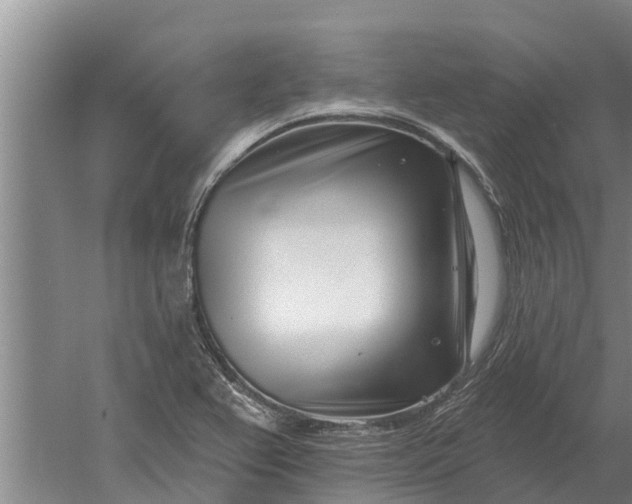 X0000052541367200507152122