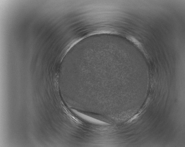 X0000052541369200507152122