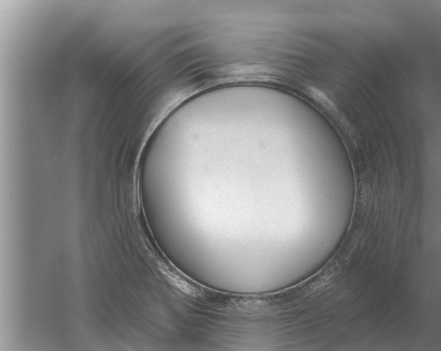 X0000052541370200507152121