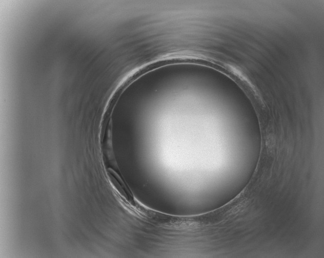 X0000052541372200507152121