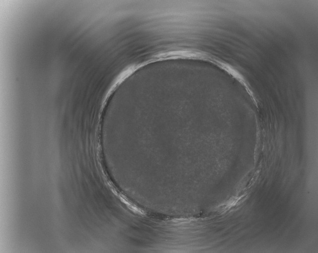 X0000052541373200507152121