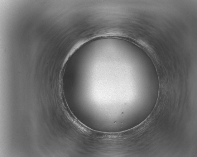 X0000052541374200507152121