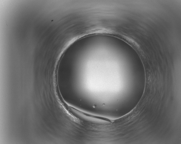 X0000052541375200507152121