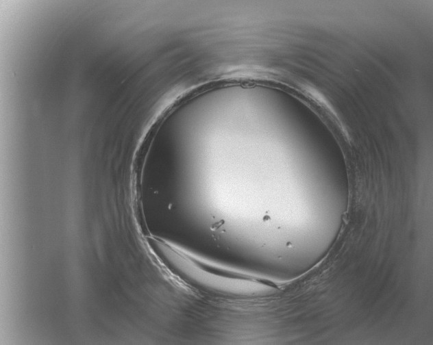 X0000052541376200507152121