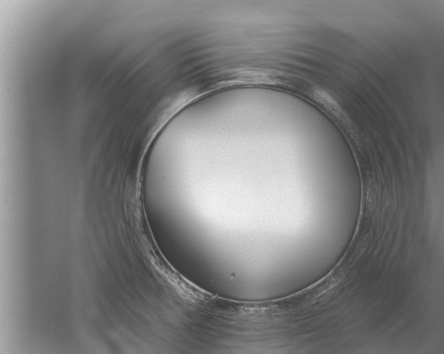 X0000052541378200507152121