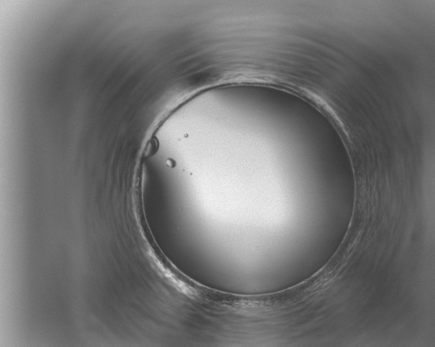 X0000052541379200507152121