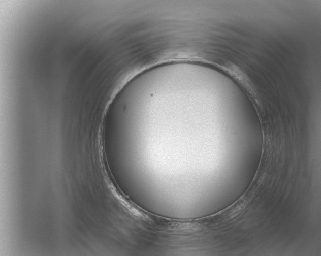 X0000052541382200507152121