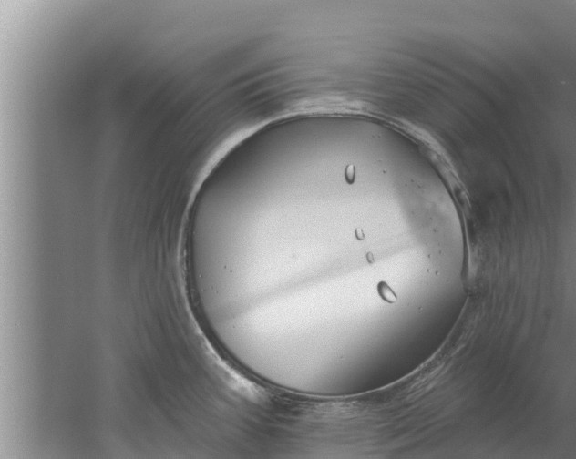 X0000052541387200507152121