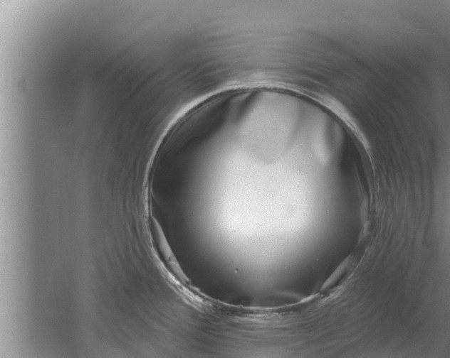 X0000052541388200507152121