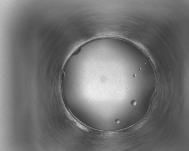 X0000052541390200507152121