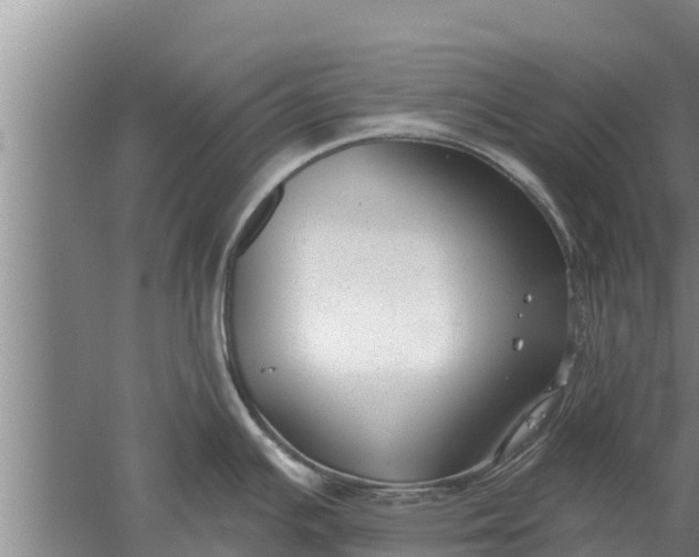 X0000052541391200507152121