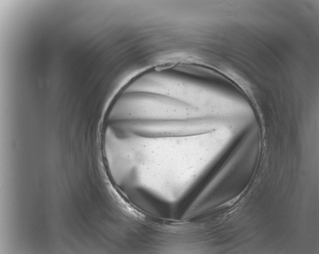 X0000052541392200507152121