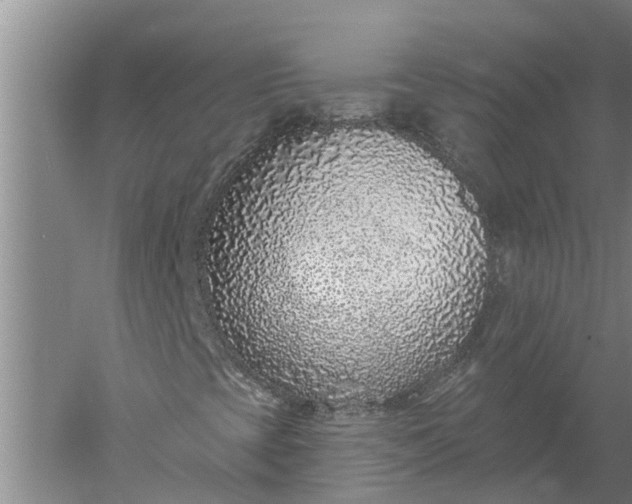 X0000052541393200507152120