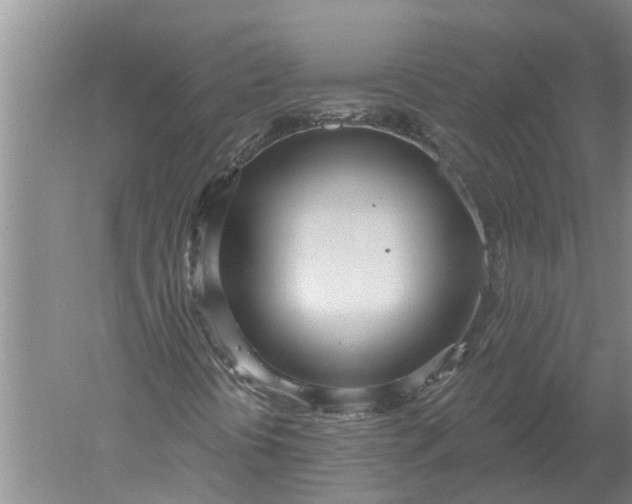 X0000052541394200507152120