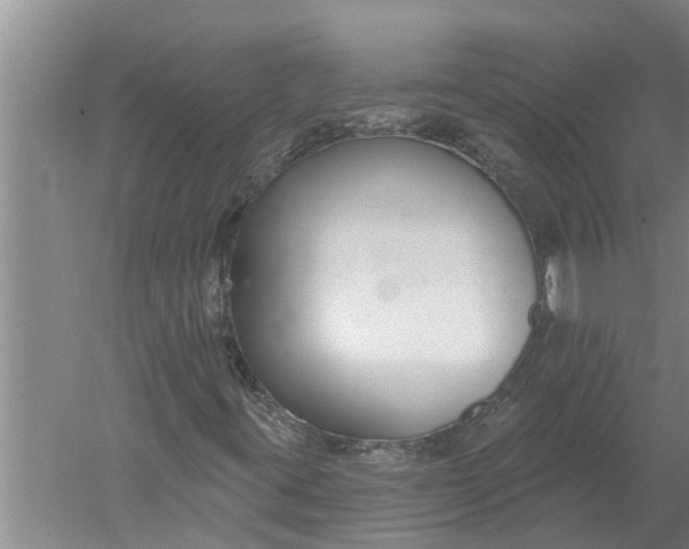 X0000052541395200507152120