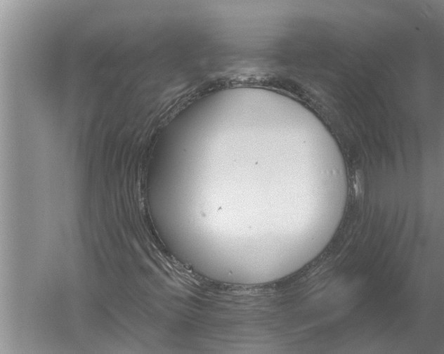 X0000052541396200507152120