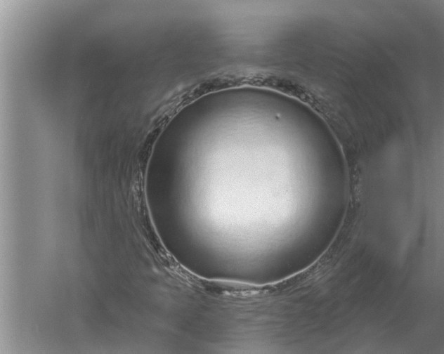 X0000052541397200507152120