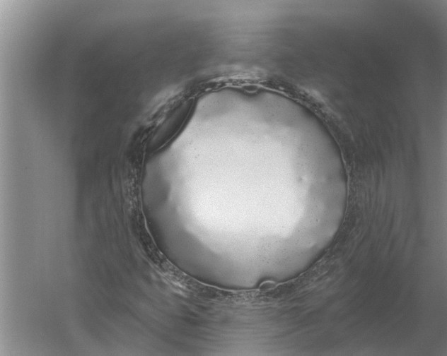 X0000052541399200507152120