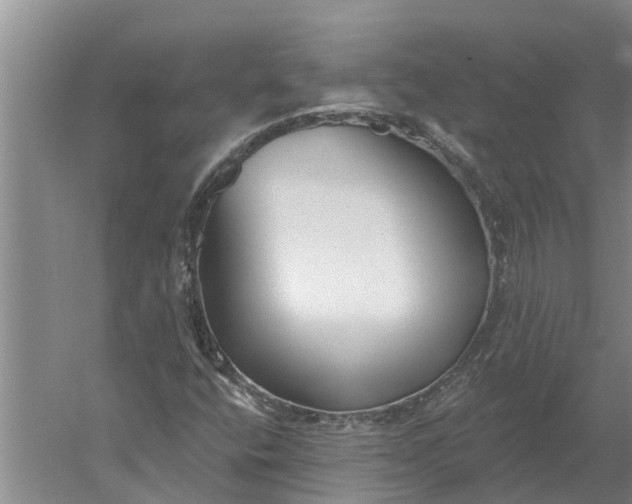 X0000052541400200507152120