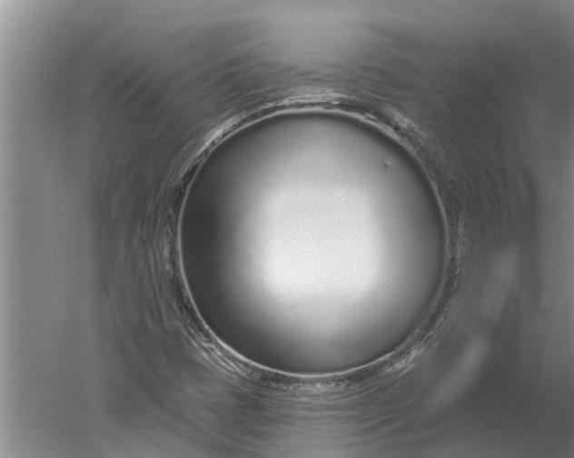 X0000052541401200507152120