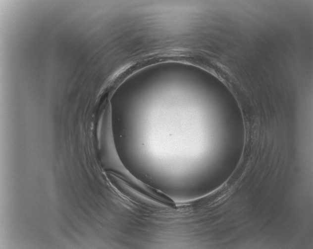 X0000052541402200507152120