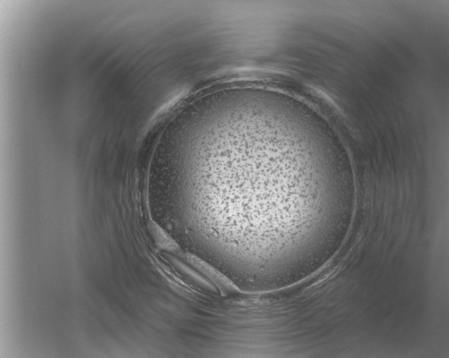 X0000052541403200507152120