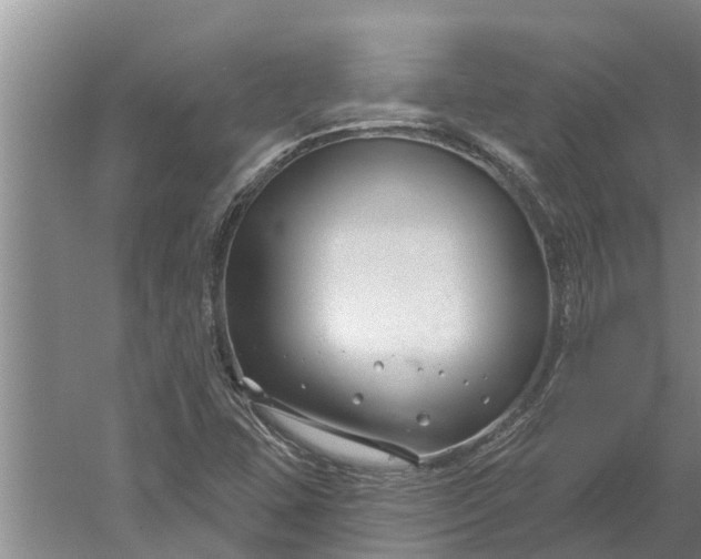 X0000052541407200507152121