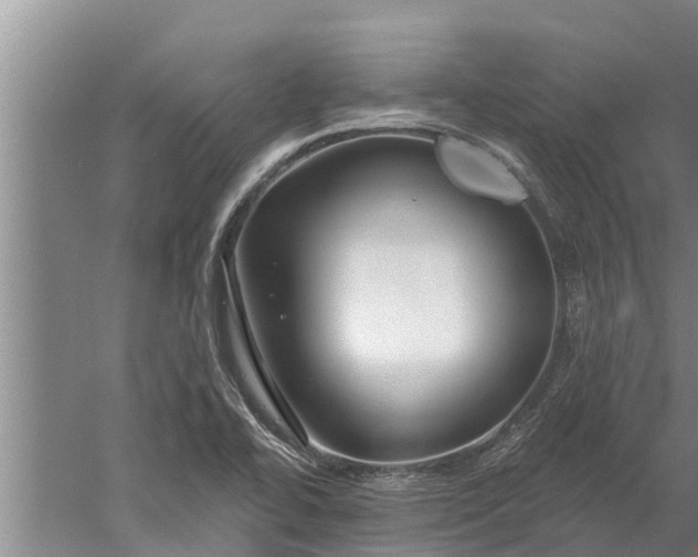 X0000052541414200507152121