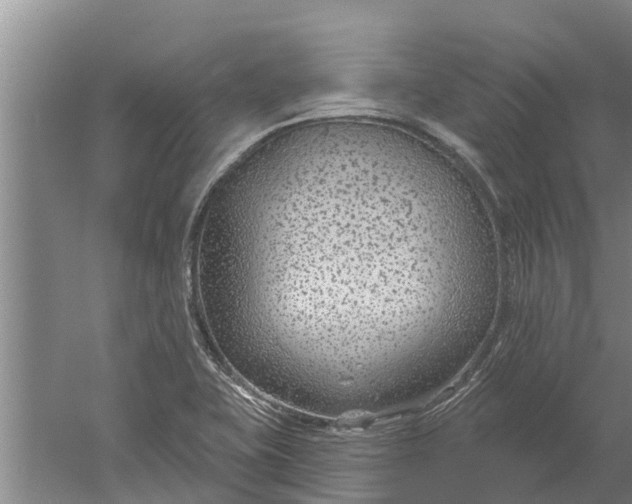 X0000052541415200507152121