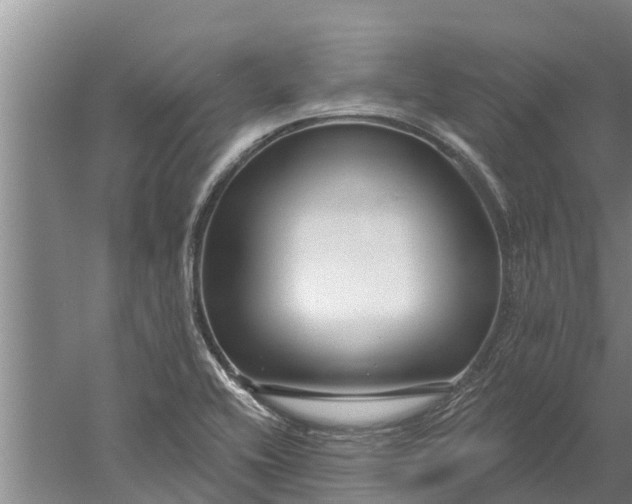 X0000052541416200507152121