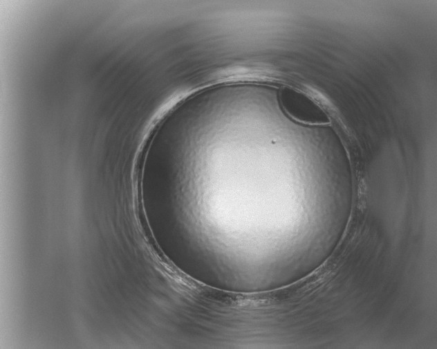 X0000052541419200507152121