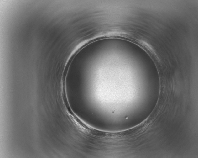 X0000052541420200507152121