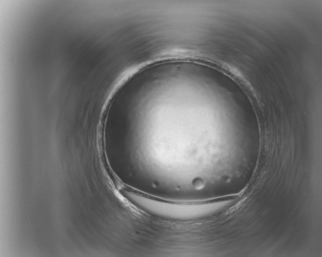 X0000052541421200507152121