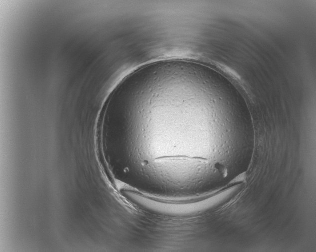 X0000052541423200507152121