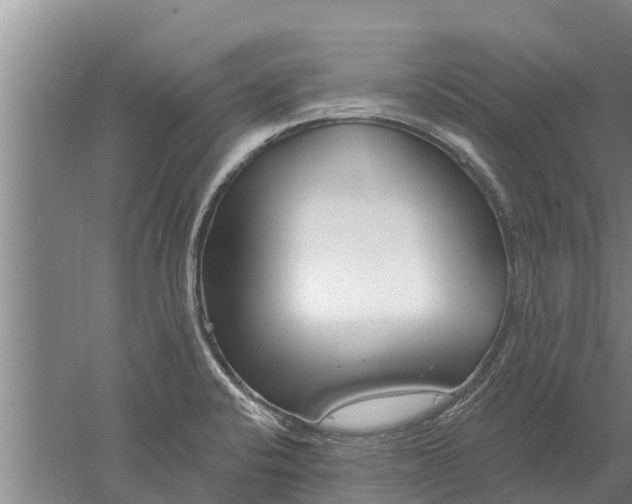 X0000052541424200507152121