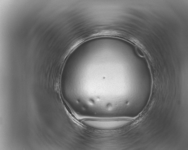 X0000052541425200507152121