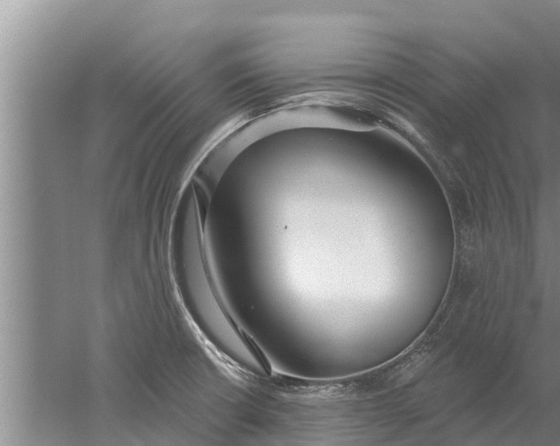 X0000052541426200507152121