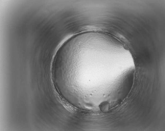 X0000052541427200507152121