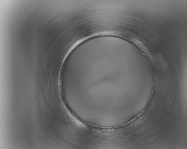 X0000052541428200507152121