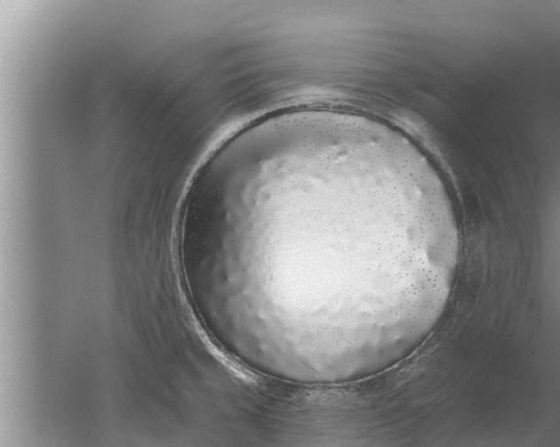 X0000052541429200507152121