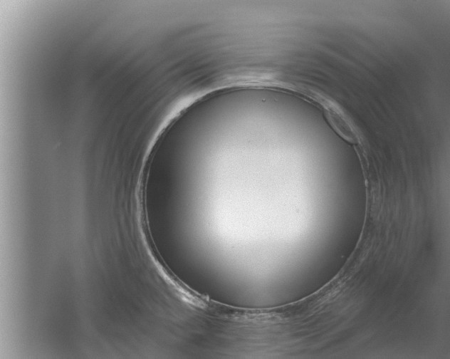 X0000052541432200507152121