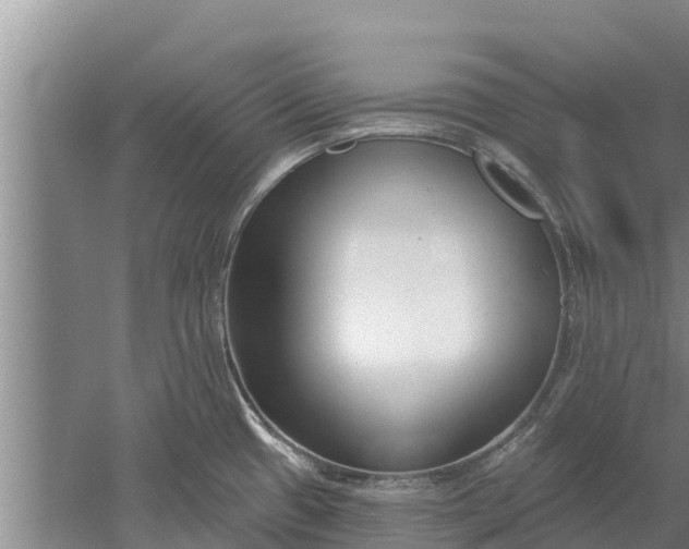 X0000052541433200507152121