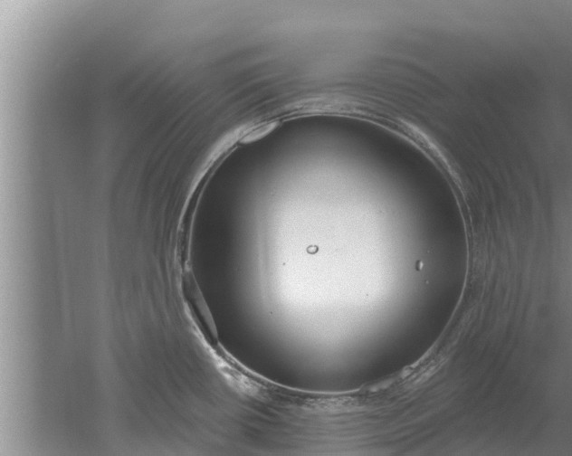 X0000052541434200507152121